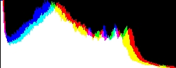 Histogram